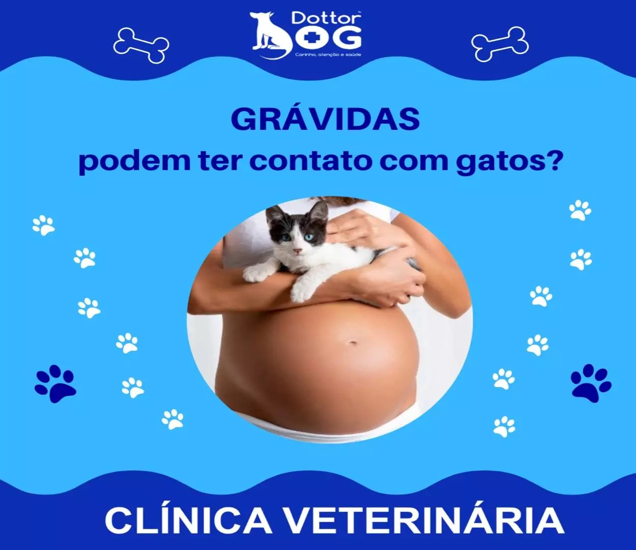 MULHERES GRÁVIDAS PODEM TER CONTATOS COM OS GATOS?